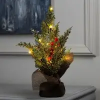 Фигура светодиодная &laquo;Ель и ягоды&raquo; 30&times;23&times;20 см, 10 LED, батарейки AG13&times;3 (в комплекте), свечение тёплое белое