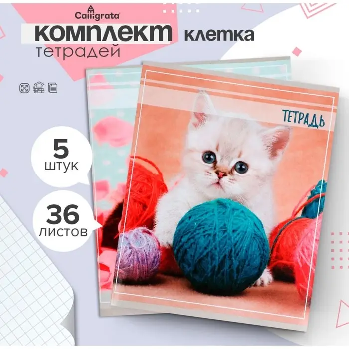 Тетради 5 штук, 36 листов в клетку Calligrata &laquo;Котята&raquo;, обложка мелованный картон, блок офсет