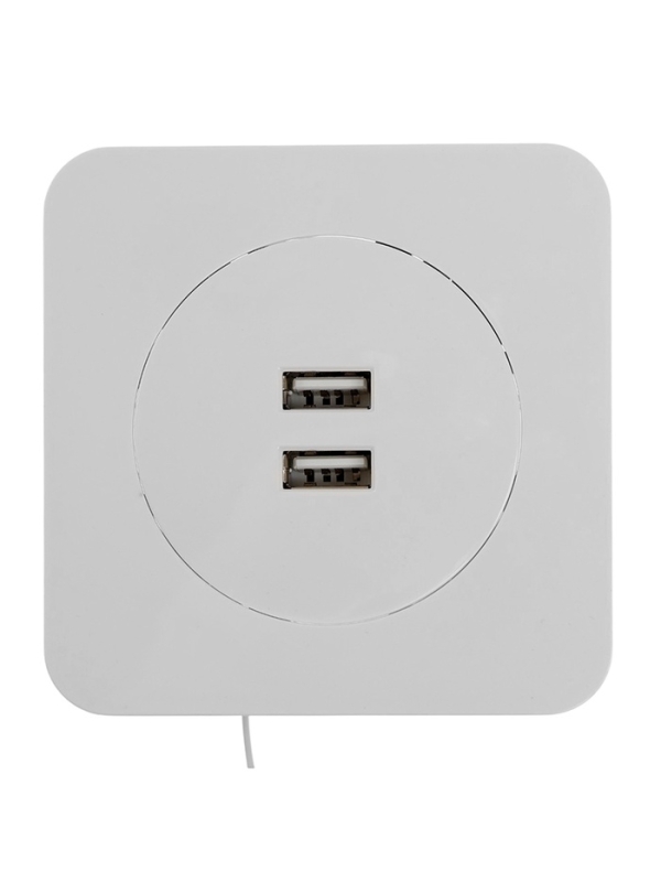 Розетка с 2 USB-A разъёмами, 2.1А, 5В, серия "Circular", 10 А, скрытая, белая