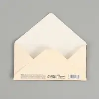 Конверт для денег &laquo;Деньги&raquo;, тиснение, 16.5&times;8 см