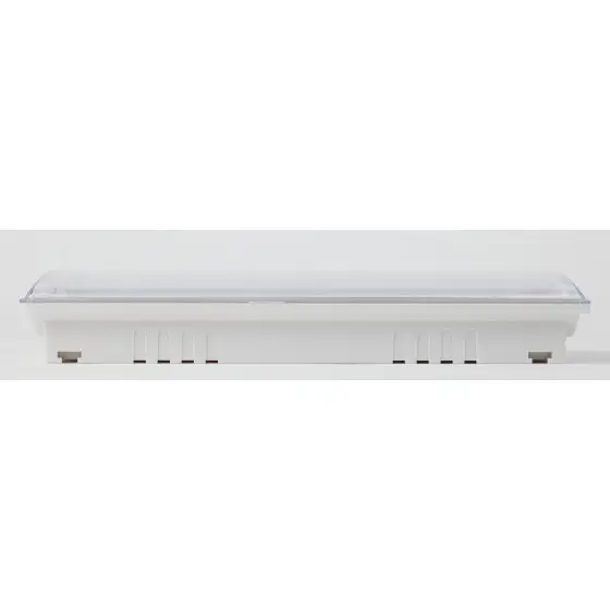 Светильник аварийный DPA-301-1-65 постоянный 40LED 3ч IP65 NiCD
