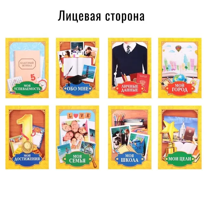 Папка школьная на кольцах &laquo;Портфолио школьника&raquo;, 13 листов-разделителей, 24.5&times;32 см