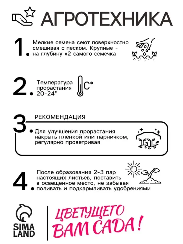 Семена цветов Пентас "Лаки стар" F1 Вайт ланцетовидный, ц/п, 3 шт.