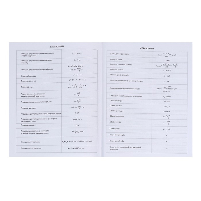 Дневник универсальный для 1-11 класса Favorite, мягкая обложка, на кнопке, искусственная кожа, тиснение фольгой, хлястик, ляссе, 48 листов