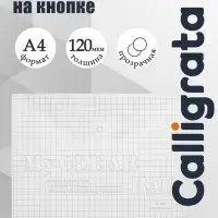 Папка-конверт на кнопке, А4, 120 мкм, Calligrata &laquo;Клетка&raquo;, прозрачный, бесцветный