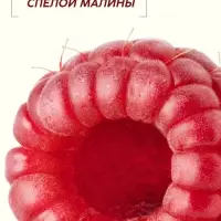 Шампунь для волос, питающий уход, аромат малины, 250 мл, Рябина
