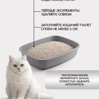 Наполнитель минеральный впитывающий &laquo;Пижон&raquo;, Premium, для короткошерстных кошек, 10 л