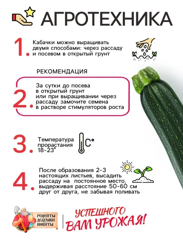 Семена Кабачок цукини  Семена Кабачок цукини "Цукеша", 2 г