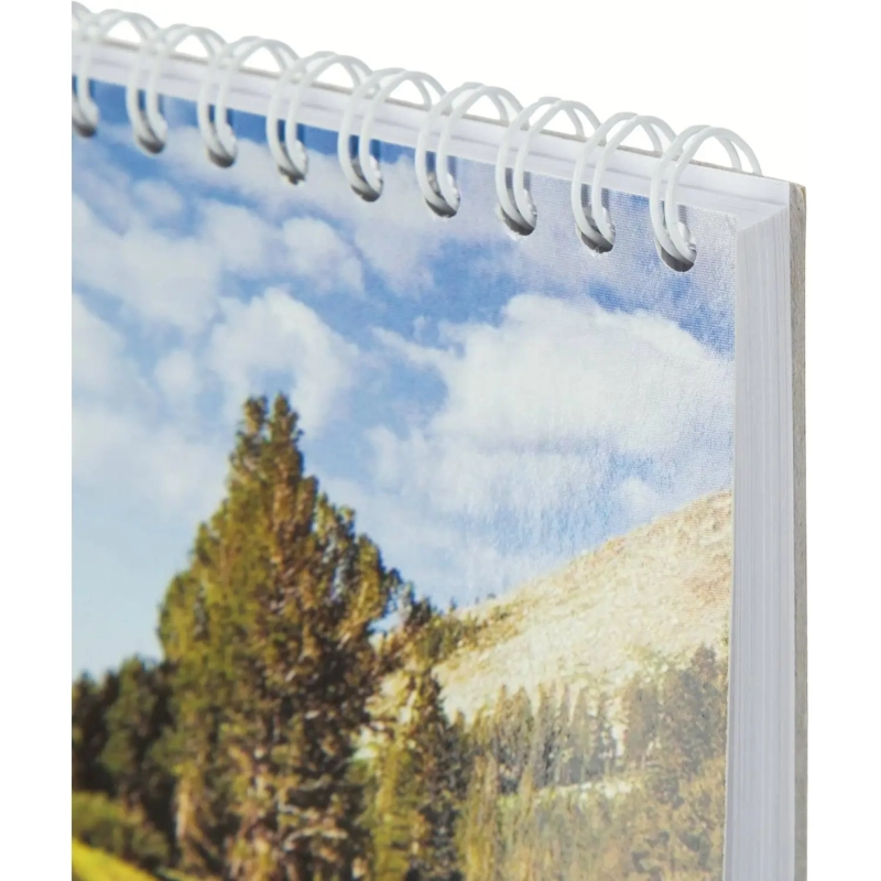 Планинг недатированный 295х100  56 л.Пт 4603721416431