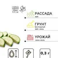 Набор семян Кабачок &laquo;Апельсинка&raquo;, F1, 5 шт., &laquo;Мой выбор&raquo;
