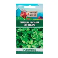 Семена петрушка листовая «Богатырь», 2 г