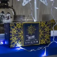 Гирлянда &laquo;Бахрома&raquo; 3&times;0.6 м, IP44, УМС, прозрачная нить, 160 LED, свечение белое, мерцание белым, 220 В