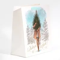 Пакет подарочный новогодний ламинированный «Девушка с ёлкой», ML 23 х 27 х 11,5 см