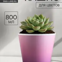 Кашпо для цветов &laquo;Розовый закат&raquo;, 800 мл, d=12 см, h=11 см, пластиковое