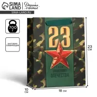 Пакет подарочный ламинированный, упаковка, &laquo;С 23 февраля&raquo;, MS 18&times;23&times;10 см