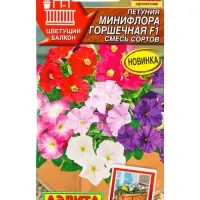 Семена цветов Петуния Минифлора горшечная F1, смесь сортов (драже) Цветущий балкон, Ц/П,5 шт. 10945 Семена цветов Петуния Минифлора горшечная F1, смесь сортов (драже) Цветущий балкон, Ц/П,5 шт. 10945