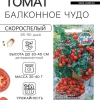 Семена Томат &laquo;Балконное чудо&raquo;, детерминантный, низкорослый, 0.1 г
