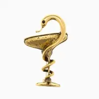 Брошь &laquo;Змея в геральдике&raquo;, знак, 4.4 см, цвет чернёное золото