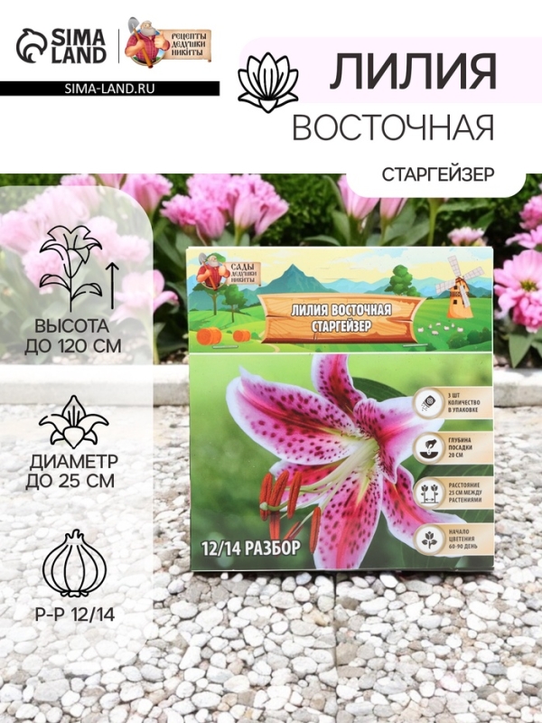 Лилия Восточная «Старгейзер», луковица в пакете с перфорацией, р-р 12/14, 3 шт. Лилия Восточная «Старгейзер», луковица в пакете с перфорацией, р-р 12/14, 3 шт.