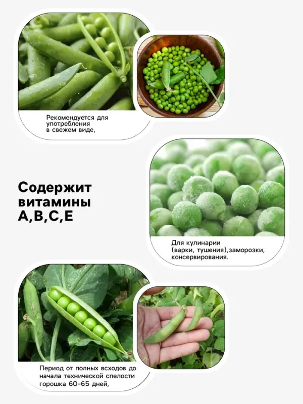 Семена Горох овощной &laquo;Детский&raquo; сахарный, раннеспелый, низкорослый, 10 г, &laquo;Евро-семена&raquo;