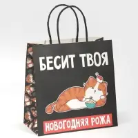 Пакет подарочный новогодний &laquo;Рожа&raquo;, 22 х 22 х 11 см