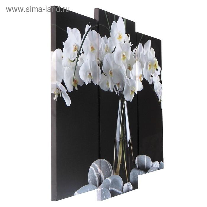 Модульная картина  Модульная картина "Орхидеи в вазе"  (2-25х52; 1-30х60) 60х80 см
