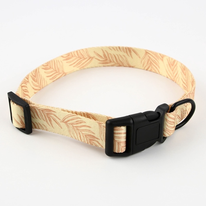 Ошейник Paradise life, застёжка - фастекс, 2.5 см, 40-55 см Ошейник Paradise life, застёжка - фастекс, 2.5 см, 40-55 см