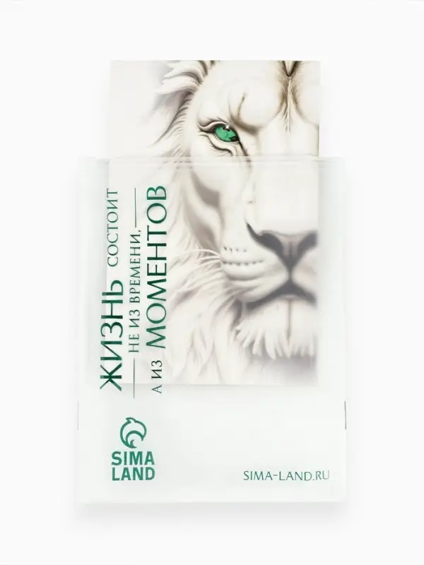 Пакет подарочный «С Новым годом», снеговик, 31 × 40 × 11 см Пакет подарочный «С Новым годом», снеговик, 31 × 40 × 11 см