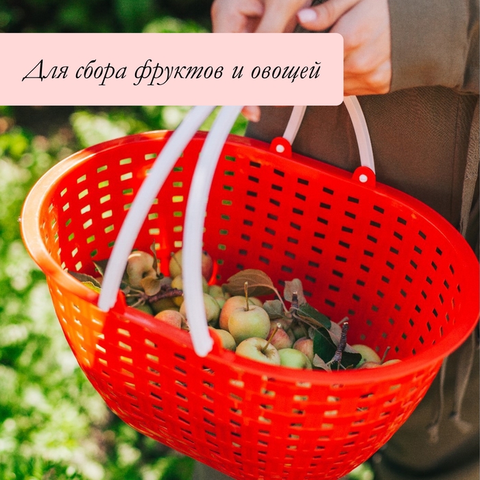 Ёмкость для сбора урожая «Лукошко», цвет МИКС