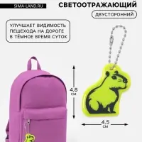 Светоотражающий элемент &laquo;Капибара&raquo;, двусторонний, 4.5&times;4.8 см, салатовый