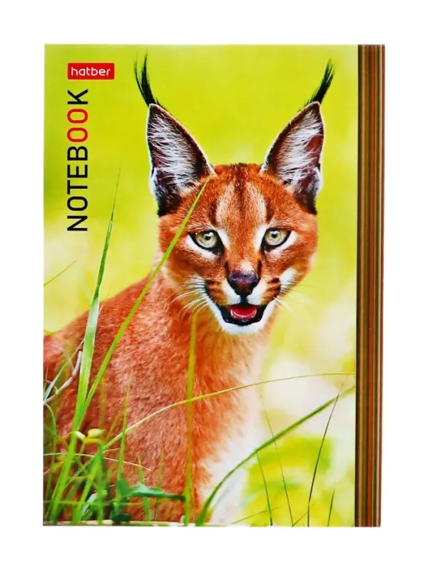 Блокнот А6 24 листа в клетку, на скобе &laquo;В мире животных&raquo;, МИКС