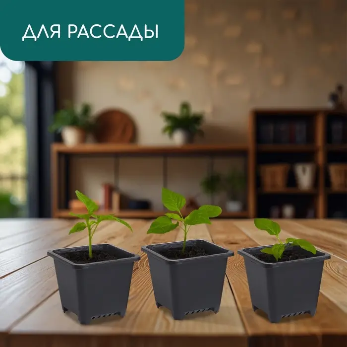 Горшок для рассады, 250 мл, d=9 см, h=8 см, пластик, чёрный, Greengo Горшок для рассады, 250 мл, d=9 см, h=8 см, пластик, чёрный, Greengo