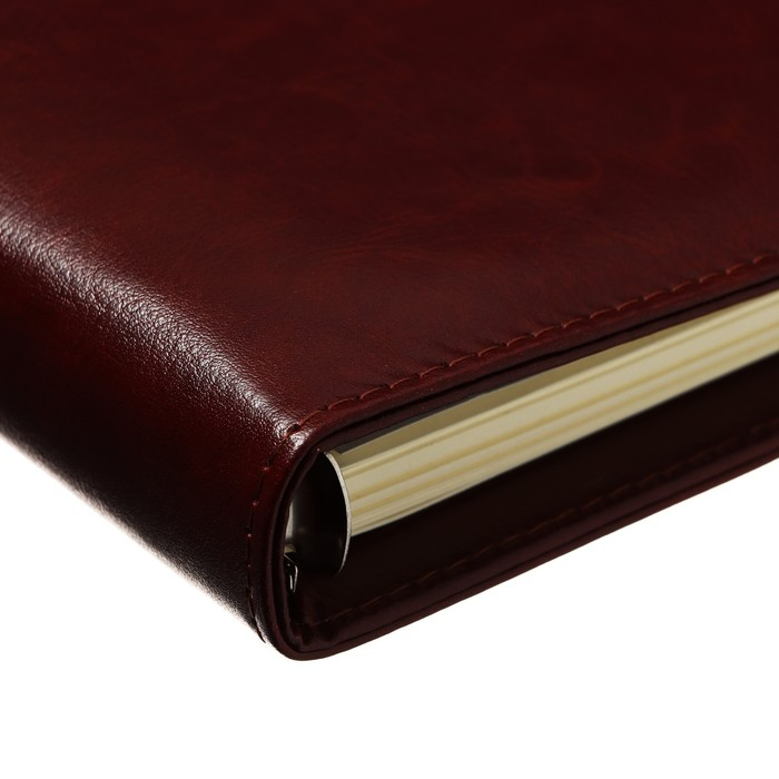 Органайзер на кольцах  Органайзер на кольцах "Классика" А5, 96 листов в линейку с ремешком, МИКС