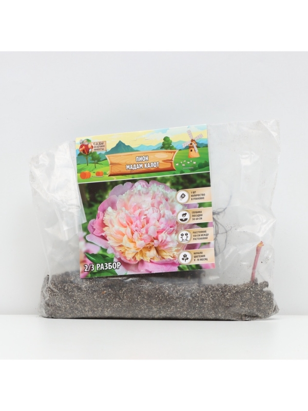 Пион Madame Calot, корневище в пакете с торфогрунтом, р-р 2/3, 1 шт. Пион Madame Calot, корневище в пакете с торфогрунтом, р-р 2/3, 1 шт.