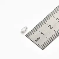 Замок винтовой, 8.5&times;3.8 мм, СМ-234 20 шт. цвет серебро