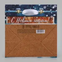 Пакет подарочный &laquo;С Новым годом&raquo;, 14&times;14&times;9 см