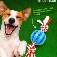 Игрушка для собак канатная &laquo;2 узла с мячом TPR&raquo;, до 20 с, до 50 г