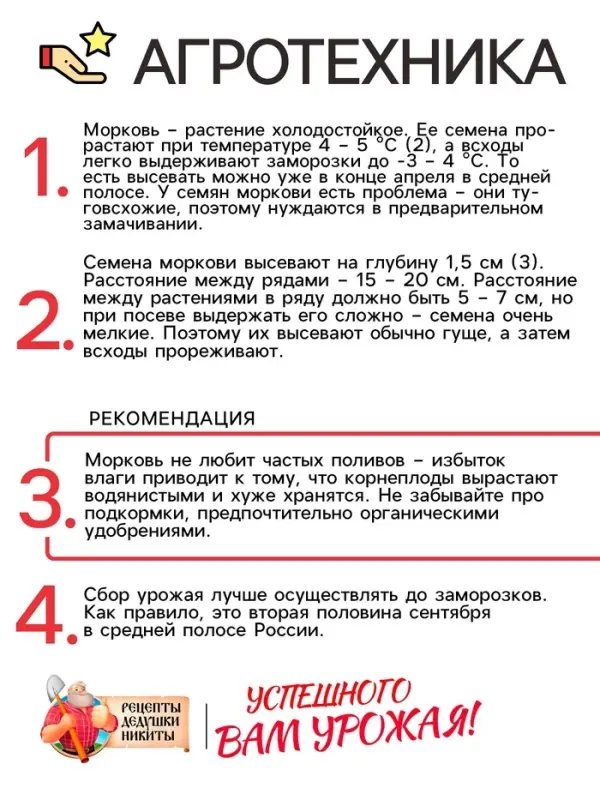 Семена Морковь  Семена Морковь "Витаминная 6", 2 г