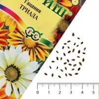 Семена цветов Гацания гибридная &laquo;Триада&raquo;, крупноцветковая, низкорослая, 0.05 г, &laquo;Гавриш&raquo;
