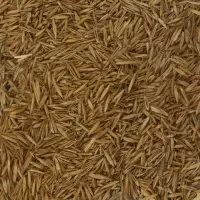 Газон медленнорастущий "Лилипут", 0,5 кг