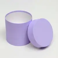 Набор шляпных коробок 4 в 1 &laquo;Светлая сирень&raquo; 21&times;21&times;21- 14&times;14&times;14 см