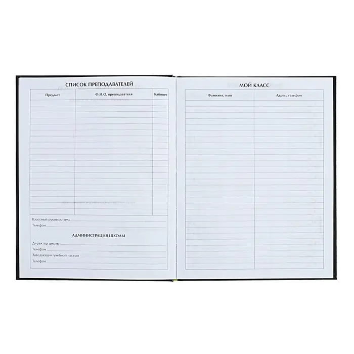 Дневник универсальный для 1-11 классов "Я ГУСЬ - НА ОТЛИЧНО УЧУСЬ!", твёрдая обложка, глянцевая ламинация, 40 листов