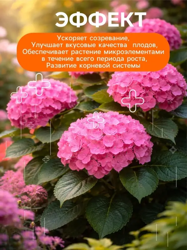 Удобрение минеральное для цветов и декоративных кустарников, Dr.Grunt, 700 г
