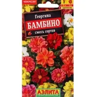 Набор Семена цветов Георгины махровая низкорослая (238760048) ВБ