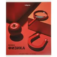 Комплект 12 предметных тетрадей 48 листов, справочная информация, 60гр, Предметы