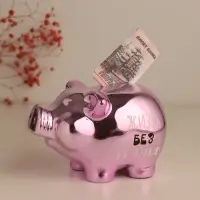 Копилка для денег &laquo;Хрюша в загоне. Не ставь мне рамки. Жизнь без границ&raquo;, керамика, 15.5&times;11.7&times;9.5 см