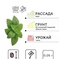 Семена Мята садовая &laquo;Ментол&raquo;, 0.05 г, &laquo;Гавриш&raquo;