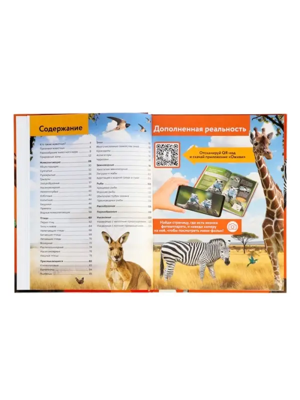 Энциклопедия в твёрдом переплёте "Животные", 128 страниц
