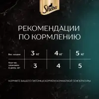 Влажный корм Sheba Craft для кошек, курица, соус, пауч,  75 г