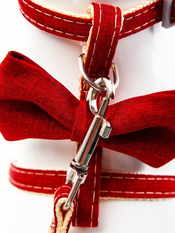 Комплект амуниции "Шахматный джентельмен", поводок 120 х 1 см, красный